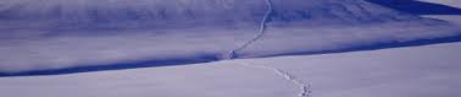 A snowy mountain slope with a winding ski trail under a clear blue sky.