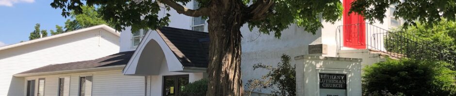 A large tree in front of a white house with a garden and a red curtain.