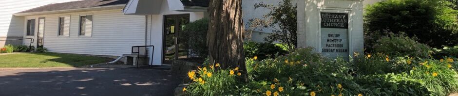 A large tree trunk surrounded by blooming yellow flowers in a garden.