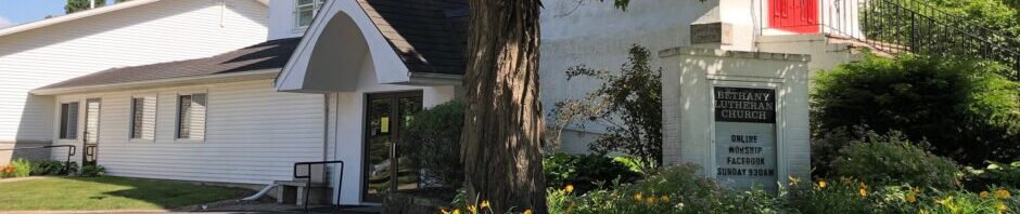 A quaint building entrance surrounded by greenery and flowers under a large tree.