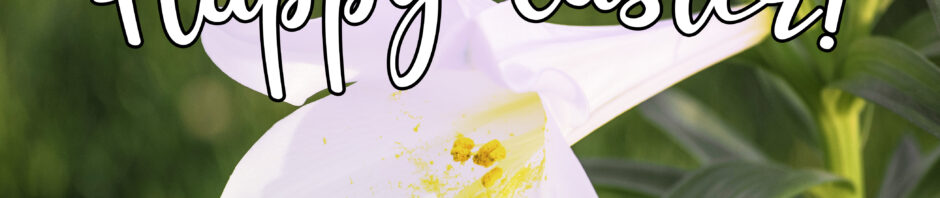 White Easter lily flower with 'Happy Easter' text overlay.
