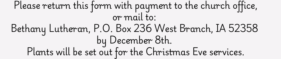 Poinsettia order form for church altar with pricing and contact details.